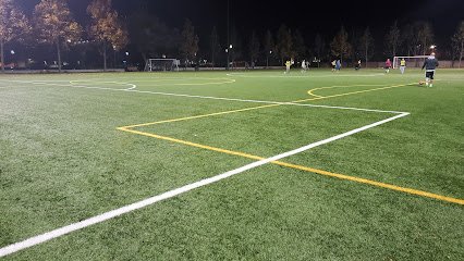 Soccer Field image 1