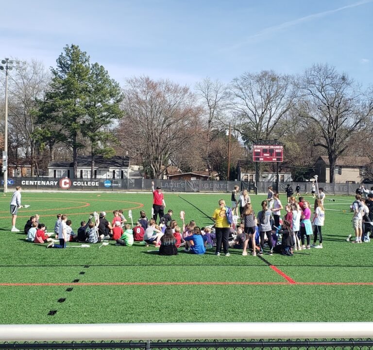 Soccer Field image 2