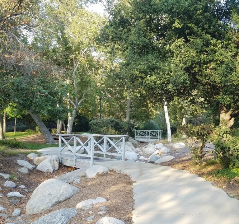 Soccer Field image 2