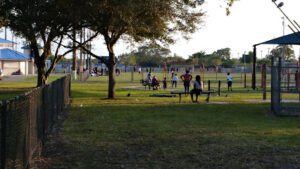 Soccer Field image 1