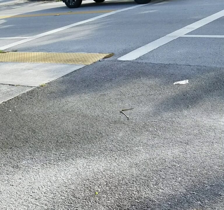 Soccer Field image 4