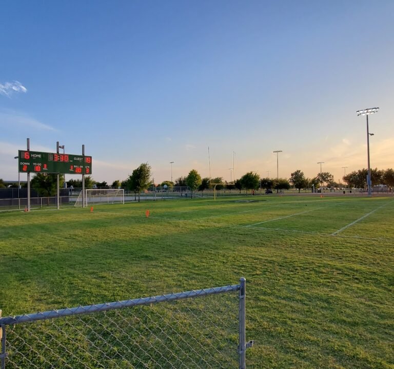 Soccer Field image 2
