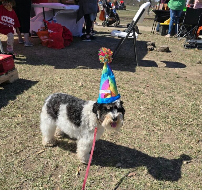 Soccer Field image 3