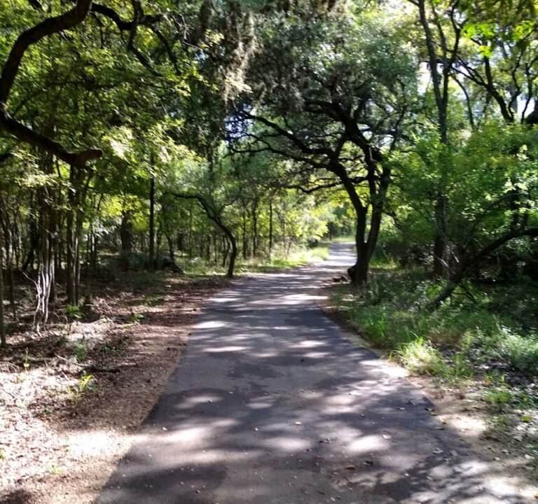 Soccer Field image 2