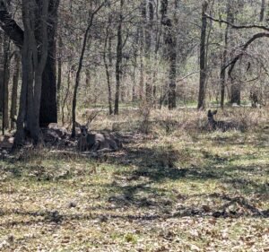 Soccer Field image 3