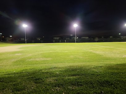 Soccer Field image 1