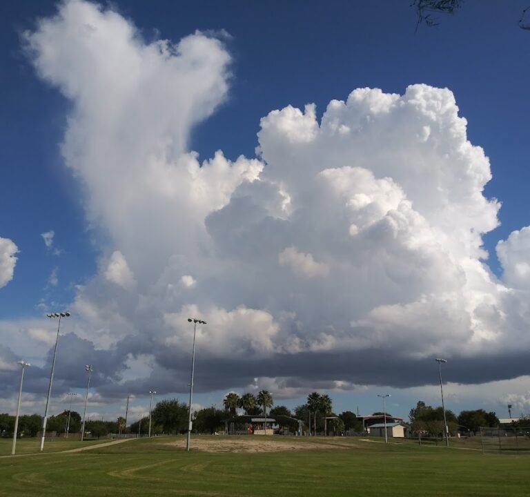 Soccer Field image 2