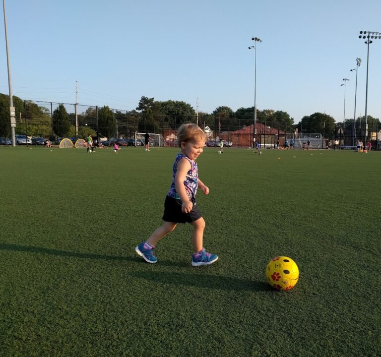 Soccer Field image 2