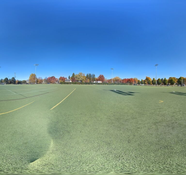 Soccer Field image 3