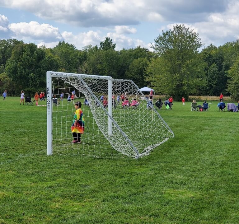 Soccer Field image 2