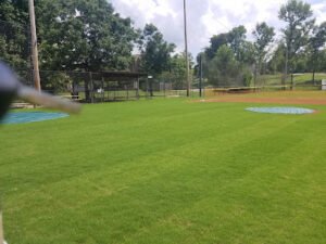 Soccer Field image 1