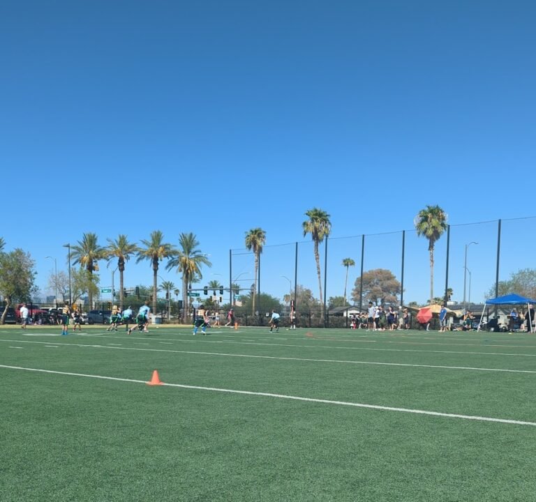 Soccer Field image 2