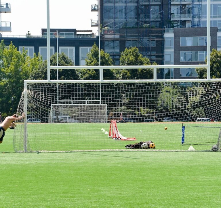 Soccer Field image 2