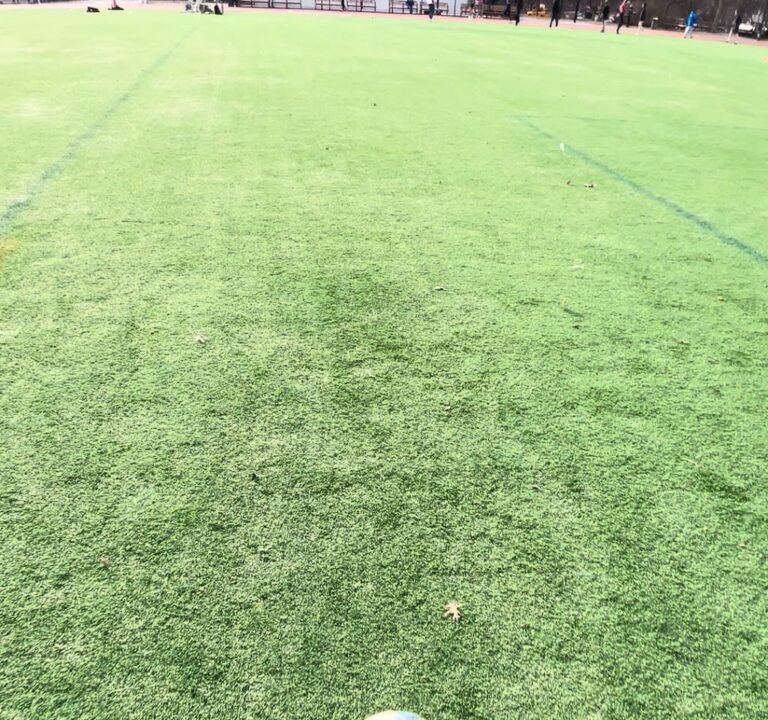 Soccer Field image 3