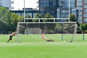 Soccer Field image 1
