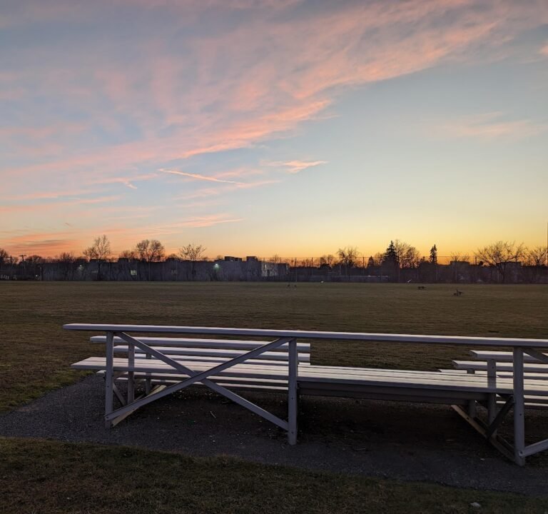 Soccer Field image 3