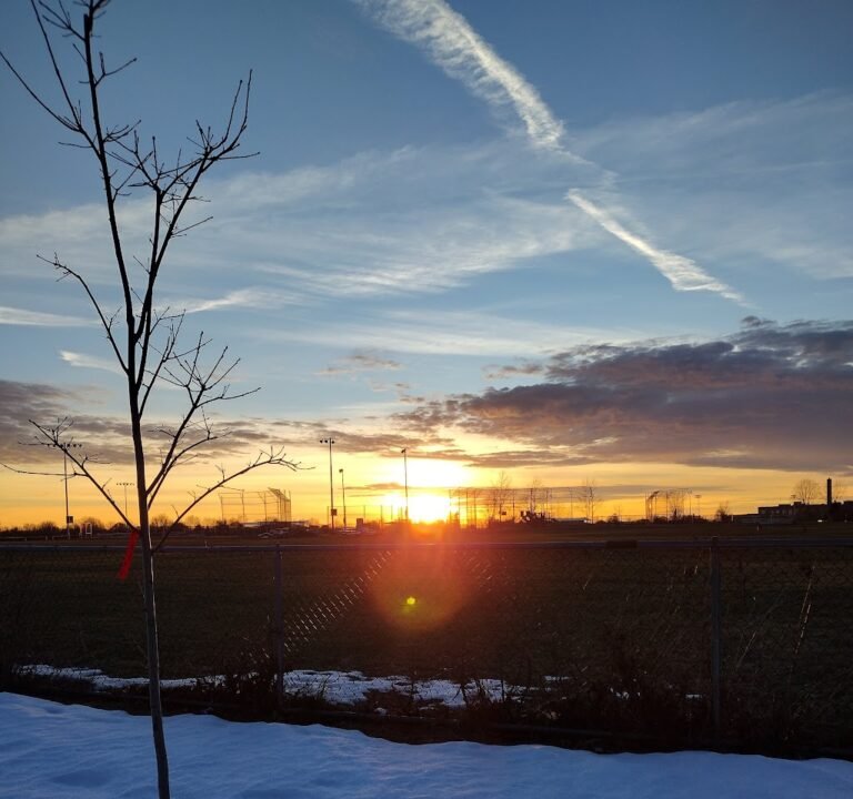 Soccer Field image 2