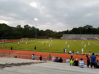 Soccer Field image 1