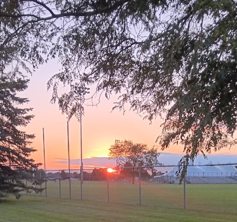 Soccer Field image 3