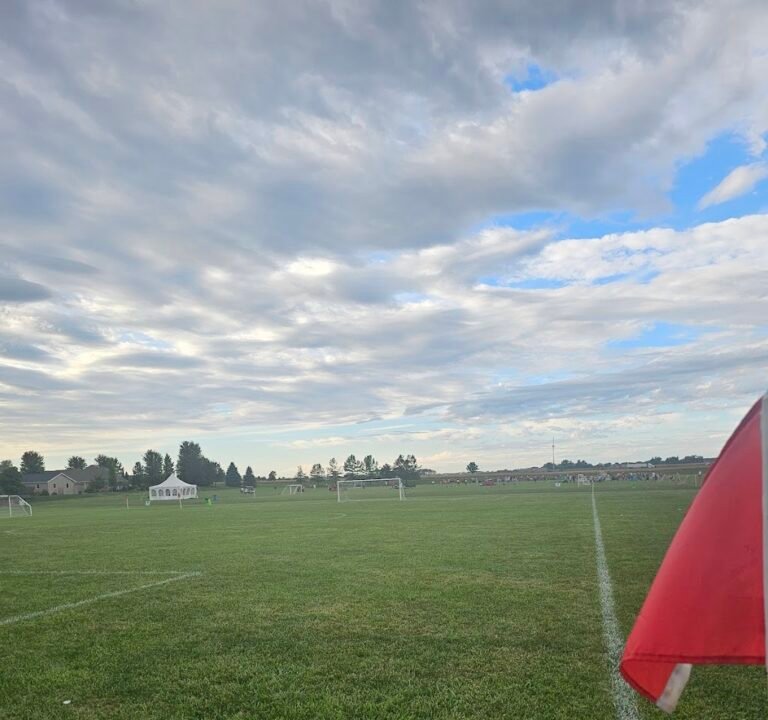 Soccer Field image 2