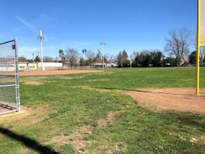 Soccer Field image 1