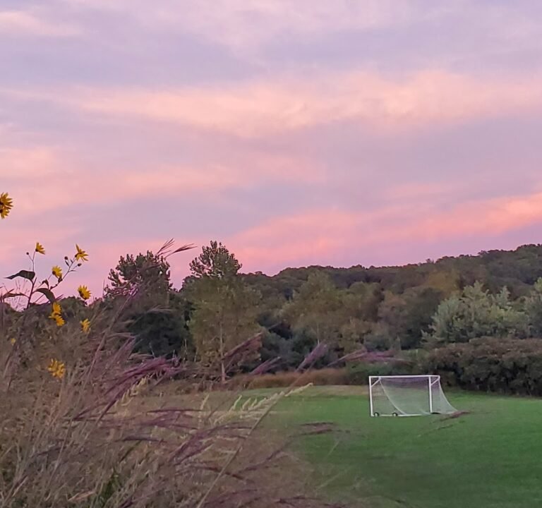 Soccer Field image 3