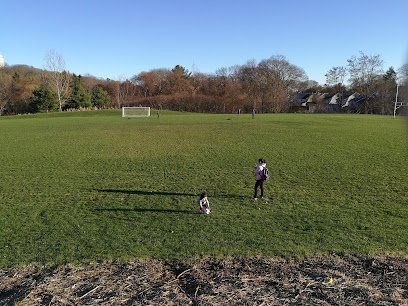 Soccer Field image 1