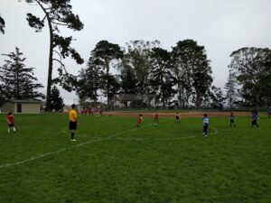 Soccer Field image 1