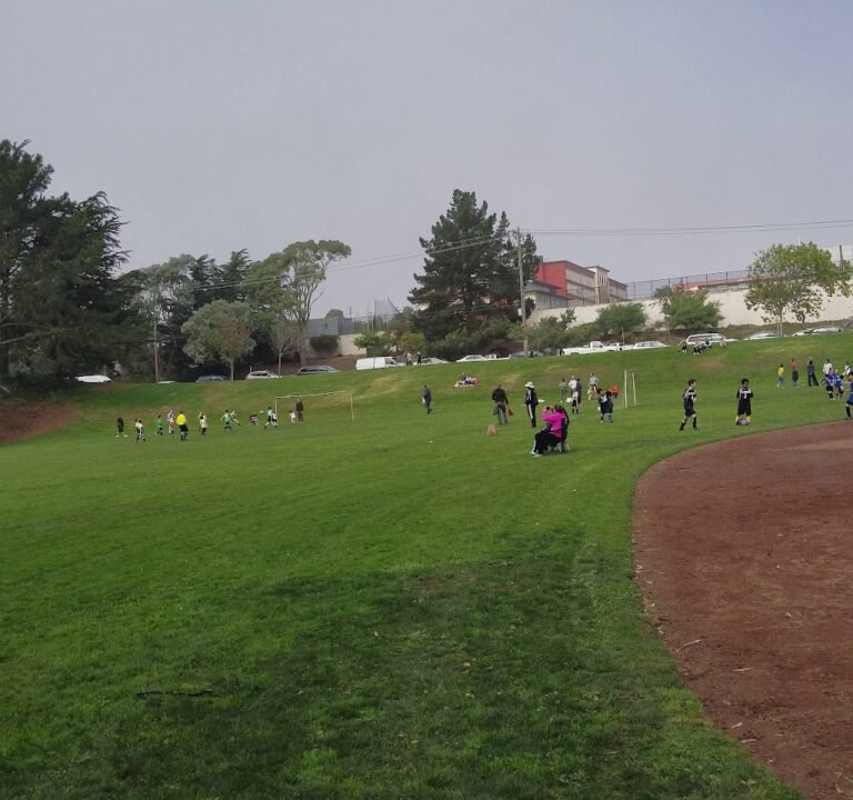 Soccer Field image 3