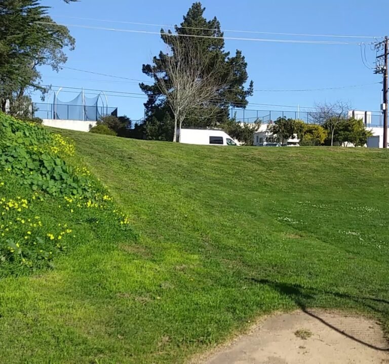 Soccer Field image 4