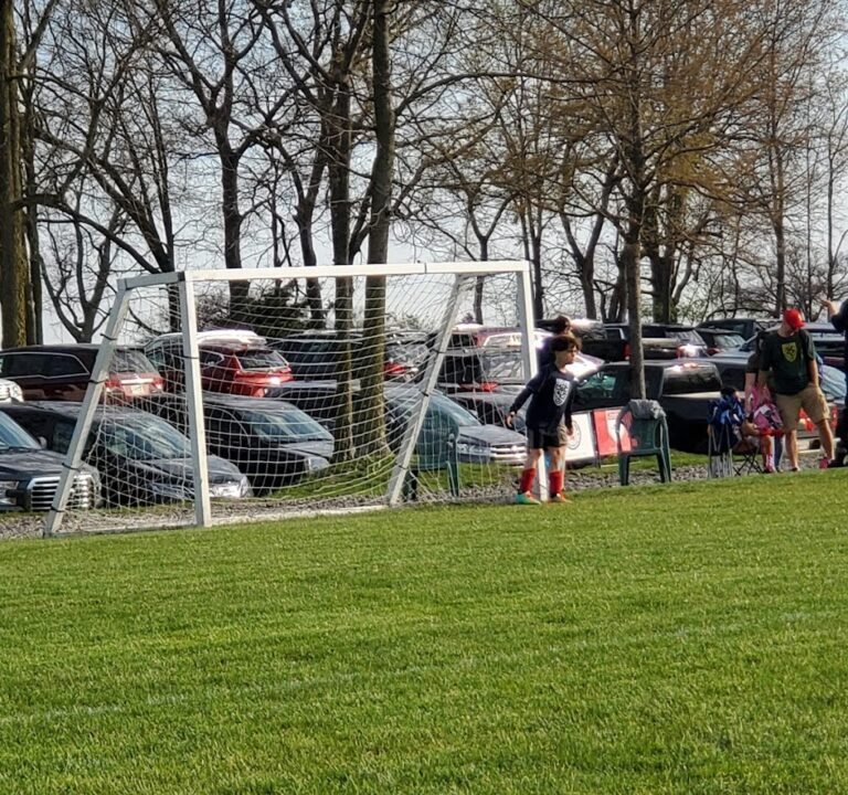 Soccer Field image 2