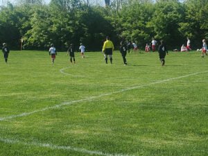 Soccer Field image 1