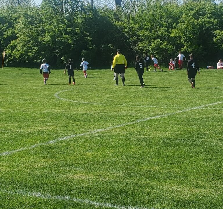 Soccer Field image 3