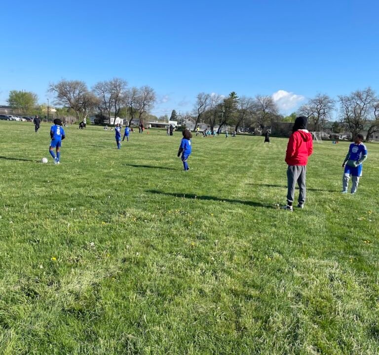 Soccer Field image 2