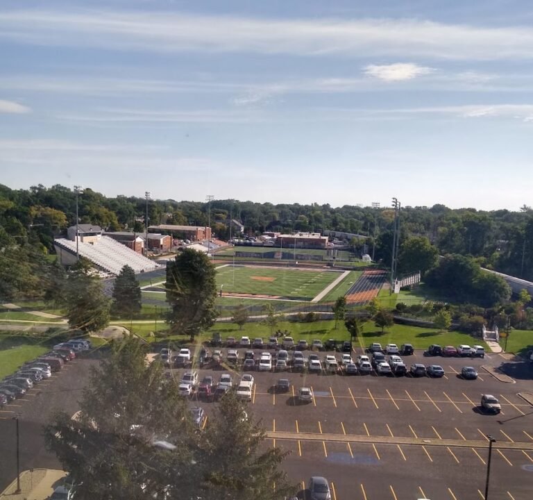 Soccer Field image 2
