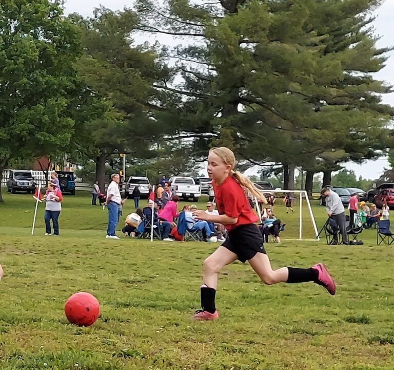 Soccer Field image 3