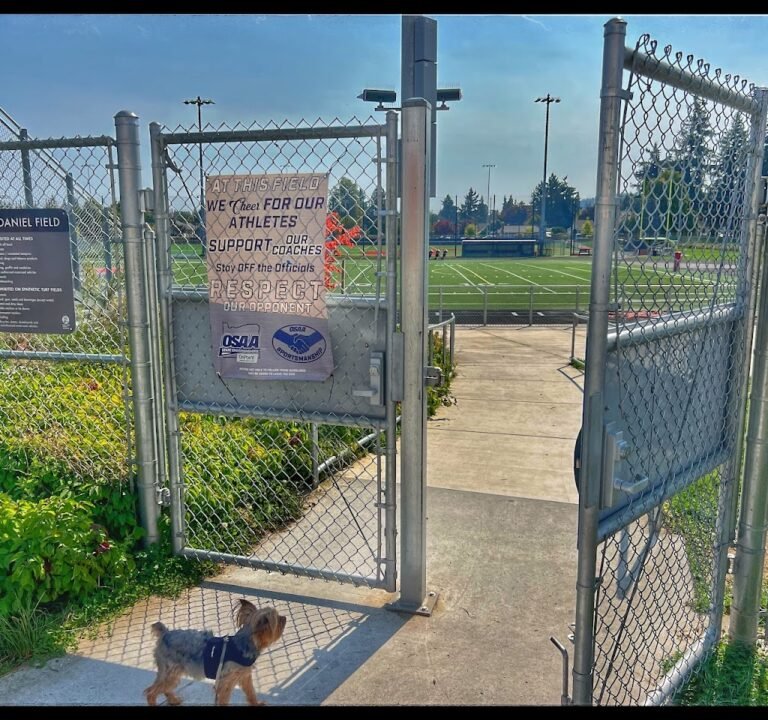 Soccer Field image 2