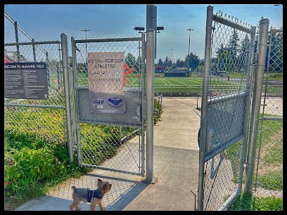 Soccer Field image 1