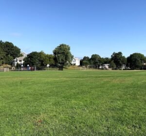 Soccer Field image 2
