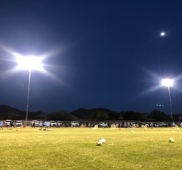 Soccer Field image 2