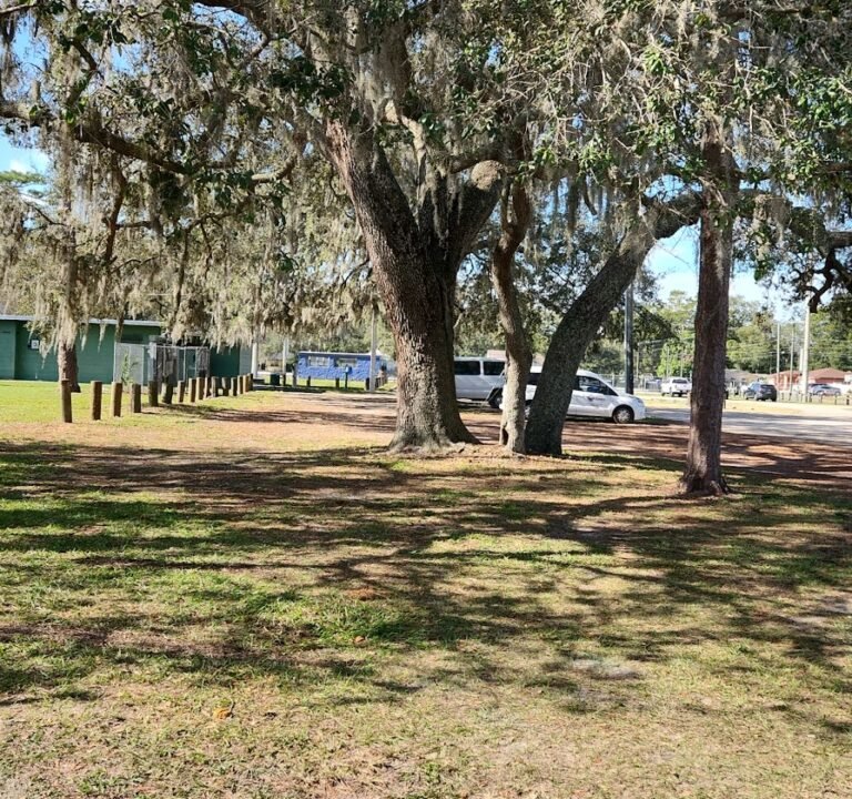 Soccer Field image 2