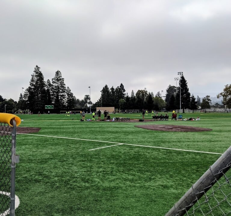 Soccer Field image 2
