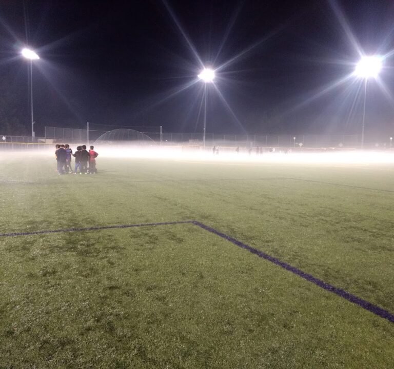 Soccer Field image 3