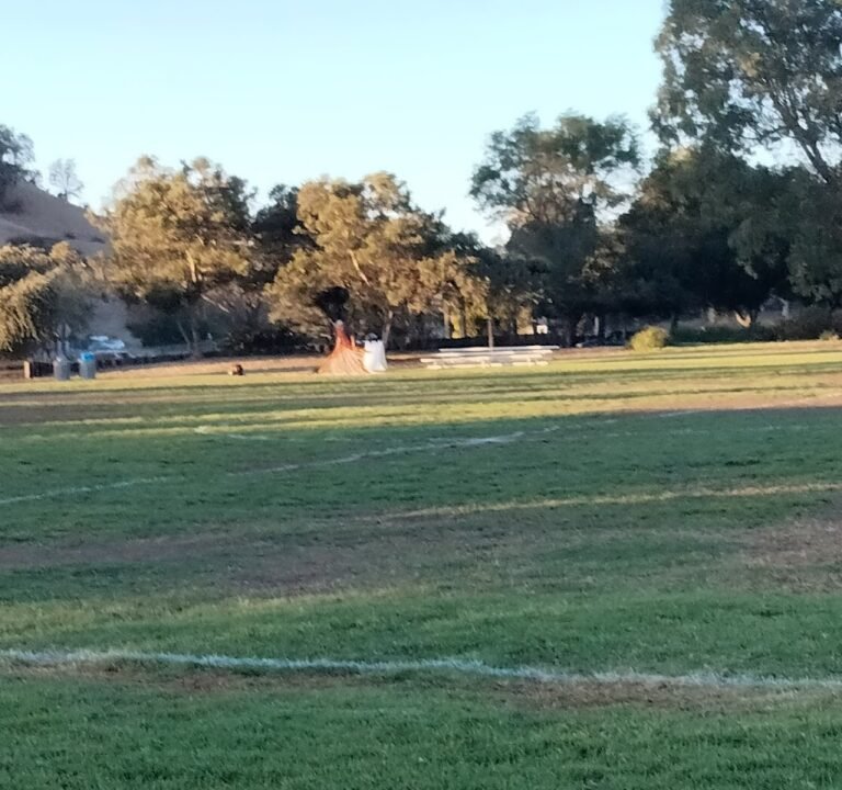 Soccer Field image 2