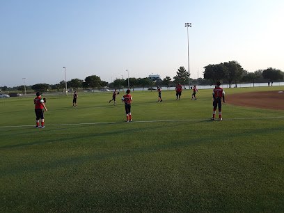 Soccer Field image 1