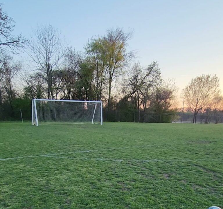 Soccer Field image 4