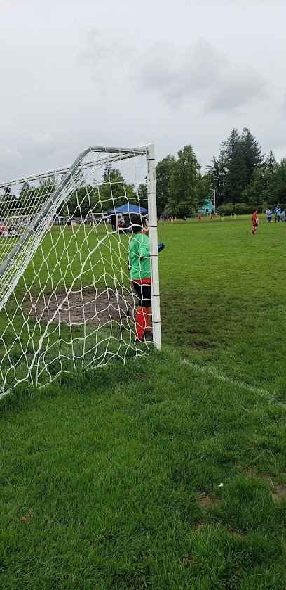 Soccer Field image 1