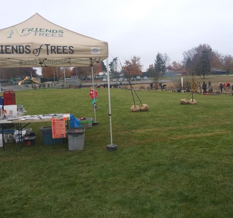 Soccer Field image 2