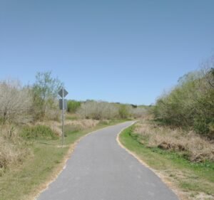 Soccer Field image 3