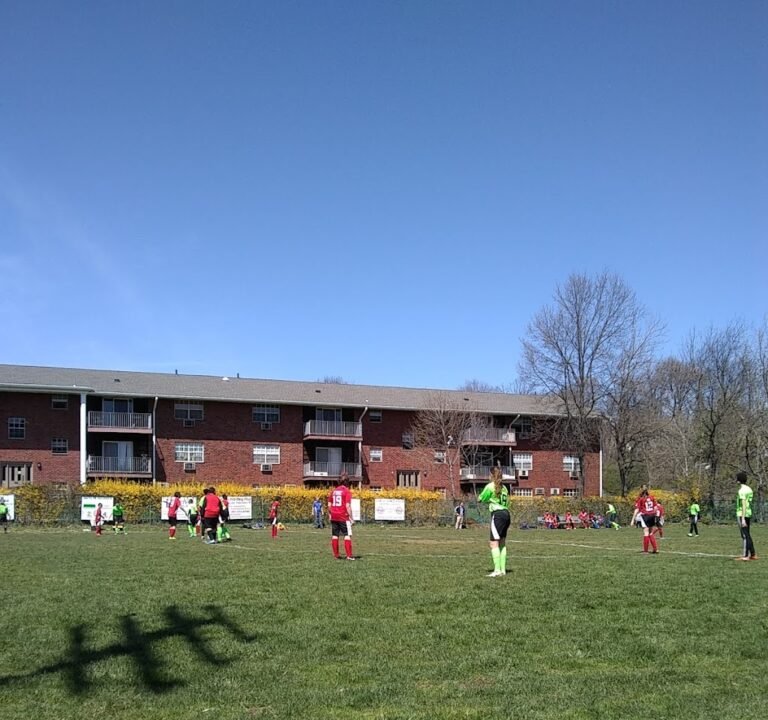 Soccer Field image 3